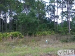 Lucy Ln S Lot 6 & 7 Panacea, FL 32346 - Image 2083901