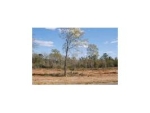 Lot 16 County Road 539 Enterprise, AL 36330 - Image 2084131