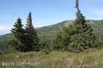 Lot  07 Potter Heights Road Anchorage, AK 99516 - Image 2086666