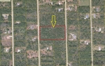 0 Hickory Ct Bunnell, FL 32110 - Image 2086903