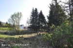 4982 Clover Lane Homer, AK 99603 - Image 2088629