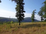 Lot 9 Rustic Ridge Drive Mountain Home, AR 72653 - Image 2089859