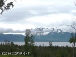 L8 B2 Triple Crown Estates Homer, AK 99603 - Image 2090742