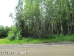 2061 W Lake Lucille Drive Wasilla, AK 99654 - Image 2091283