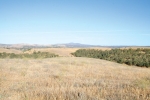 Lot 4 Calle Las Colinas Creston, CA 93432 - Image 2092326