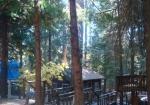 7701 Winding Way Grizzly Flats, CA 95636 - Image 2092664