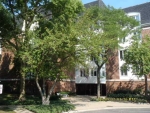 250 Lake Blvd Apt 260 Buffalo Grove, IL 60089 - Image 2093299