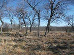 Lot 62 Grand Harbour (Apn# R0002953 Decatur, TX 76234 - Image 2096277