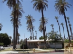 82297 Miles Ave Indio, CA 92201 - Image 2101791