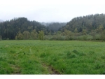 14900 Hanson Rd Hebo, OR 97122 - Image 2125135