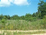 Lot 14 Greene 729 Rd Paragould, AR 72450 - Image 2130222