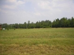 Sewell Road Lot 6 Athens, AL 35611 - Image 2134229