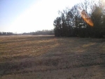 Sewell Road Lot 7 Athens, AL 35611 - Image 2134228