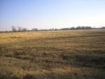 Sewell Road Lot 8 Athens, AL 35611 - Image 2134225