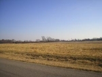 Sewell Road Lot 11 Athens, AL 35611 - Image 2134226