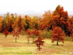 Lot 10 Oak Summit Drive Mountain Home, AR 72653 - Image 2134368