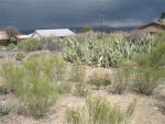 531 SKY DRIVE Clarkdale, AZ 86324 - Image 2137958