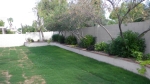 127 W BUENA VISTA Drive Tempe, AZ 85284 - Image 2143325