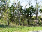 Lot 10 1st Street St Mountain Home, AR 72653 - Image 2168524