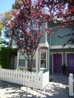 1086 San Francisco Ct Oakland, CA 94601 - Image 2170126