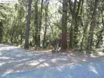 12495 Brookview Drive Grass Valley, CA 95945 - Image 2171644