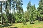 14822 Osborne Hill Road Grass Valley, CA 95945 - Image 2171650