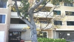 1723 Cedar Ave Unit 101 Long Beach, CA 90813 - Image 2172109