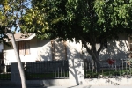 515 20th St Long Beach, CA 90806 - Image 2172271