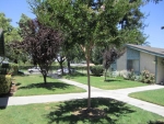 2373 Gonzaga Ln Riverside, CA 92507 - Image 2179528