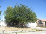 15091 Milford Ave Adelanto, CA 92301 - Image 2181640