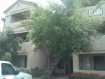 3830 E Lakewood Pkwy E Apt 2122 Phoenix, AZ 85048 - Image 2184086