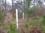 , Section 16 Forest Cr (Apn Southern Pines, NC 28387 - Image 2196321