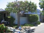 24921 Muirlands Blvd., #210 Lake Forest, CA 92630 - Image 2206038