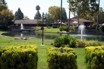 24001 MUIRLANDS #239 Lake Forest, CA 92630 - Image 2206099