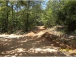 000 cedar creek road Mountain View, AR 72560 - Image 2239664