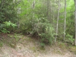 LOT 76 BALD ROCK Sapphire, NC 28774 - Image 2261545