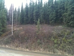 1949 Red Berry Road Fairbanks, AK 99709 - Image 2275107