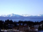 63844 E Katamar Avenue Homer, AK 99603 - Image 2276835