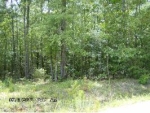 0 Pebble Cove Dr. Abbeville, AL 36310 - Image 2293920