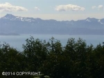 215 Tulin Terrace Boulevard Homer, AK 99603 - Image 2295346