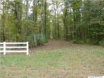 Beth Road, New Market, 35761 New Market, AL 35761 - Image 2296302