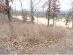 LOT 8 SILVEROAK Reeds Spring, MO 65737 - Image 2299001