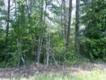 LOT 3 ROBIN RD Disputanta, VA 23842 - Image 2301363