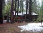 8007 Cedar Cir Yosemite National Park, CA 95389 - Image 2307449