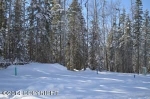 L22 B5 Yellowstone Drive Eagle River, AK 99577 - Image 2356183