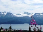 34133 Moonrise Street Homer, AK 99603 - Image 2357191