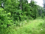 Hwy 125 Peel, AR 72668 - Image 2357721