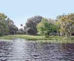 132 DRAYTON ISLAND RD Georgetown, FL 32139 - Image 2358260