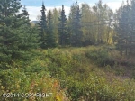 L1 Rabbit Creek Road Anchorage, AK 99516 - Image 2359535