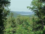 Lots 14 &amp; 15 Black Bear Court Ct Norfork, AR 72658 - Image 2360862